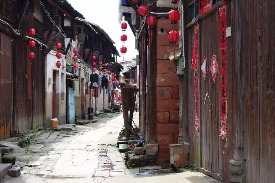 全民烧脑3去广告版